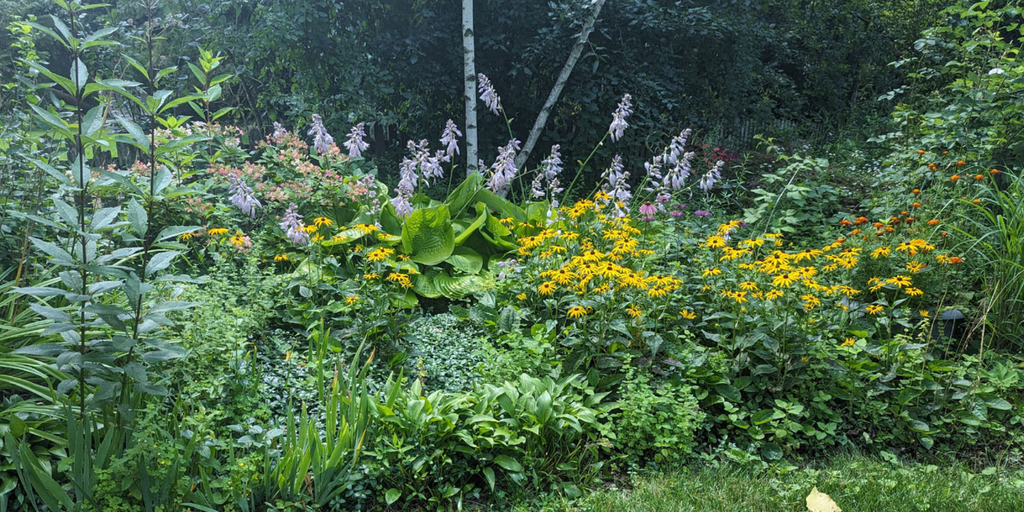 A Change in the Wind